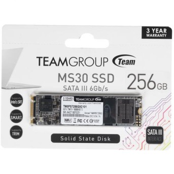 Твердотельный накопитель 256GB SSD TeamGroup MS30 M.2 2280 R500Mb/<wbr>s W400MB/<wbr>s TM8PS7256G0C101 - Metoo (1)