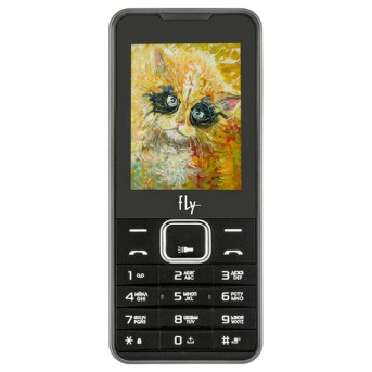 Мобильный телефон Fly FF243 Черный - Metoo (1)