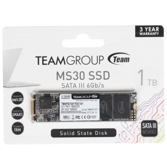 Твердотельный накопитель 1000GB SSD TeamGroup MS30 M.2 2280 R530Mb/s W480MB/s TM8PS7001T0C101 в Metoo.kz - Metoo (1)