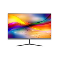 Монитор 23,8'' Wintek WCH2492B, 1920*1080, IPS, 16:9, 240, 1000:1, 1ms, 240Hz, HDMI+DP+Aud+USB, 2x..