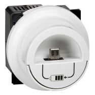 Legrand 067462 Celiane мех.USB роз. Двойной..