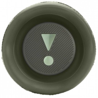 JBL Flip 6 - Portable Waterproof Speaker - Squad в Metoo.kz - Metoo (5)