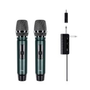 ttec Wireless 2 way Mic System Dual Channel receiver