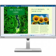 Монитор Lenovo 67A9UAC3EU L24m-40 23.8" IPS/1920x1080/100Hz/AMD FreeSync/4ms/3000:1/3M:1/250nit/Lift 150mm, Swivel, Pivot/HDMI 1.4/4 x USB 3.2 Gen1/2 x 3W/USB Type-C in box