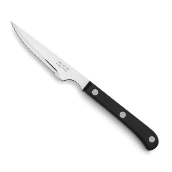 Нож для стейка Arcos Steak Basics 374800 115мм черный - Metoo (1)