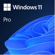 Win Pro 11 64-bit All Lng PK Lic Online DwnLd NR