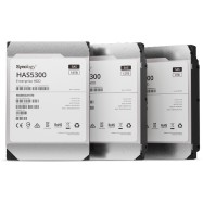 Накопитель на жестком магнитном диске Synology HDD HAS5300-12T , 12Тб, 3.5", SAS
