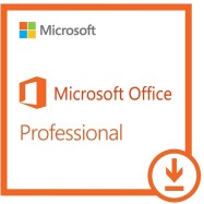 MicrosoftOfficeProfessional2019 (269-17064)