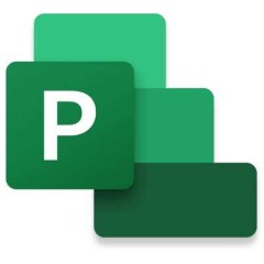Project Standard 2021 Win All Lng PK Lic Online DwnLd C2R NR..