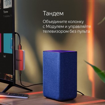 Колонки с голосовым помощником Yandex YNDX-00051 Black - Metoo (4)