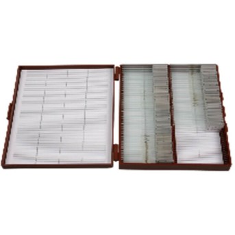 Набор микропрепаратов по зоологии MAXON 1620 в Metoo.kz - Metoo (1)