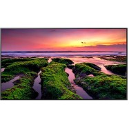 Профессиональный дисплей Samsung 65" LH65QBBEBGCXCI