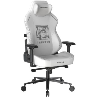 Игровое компьютерное кресло DXRacer Craft Standard F-23-Thinker GC/<wbr>LCF23LTA - Metoo (2)