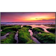 Профессиональный дисплей Samsung 65" LH65QBCEBGCXCI