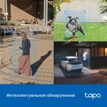 Умная уличная поворотная камера Tapo C520WS в Metoo.kz - Metoo (6)
