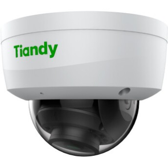 Tiandy 2Мп уличная купольная IP-камера 2.8мм, 512Гб слот SD - Metoo (1)