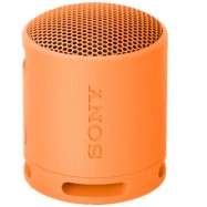 Портативная колонка Sony SRS-XB100/DCE