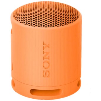 Портативная колонка Sony SRS-XB100/<wbr>DCE - Metoo (1)