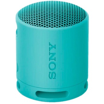 Портативная колонка Sony SRS-XB100/<wbr>LCE - Metoo (1)