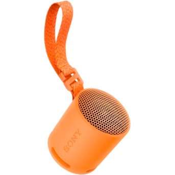 Портативная колонка Sony SRS-XB100/<wbr>DCE - Metoo (5)