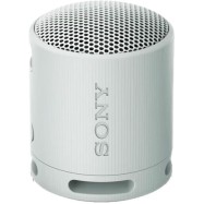 Портативная колонка Sony SRS-XB100/HCE