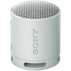 Портативная колонка Sony SRS-XB100/<wbr>HCE