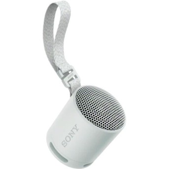 Портативная колонка Sony SRS-XB100/<wbr>HCE - Metoo (5)