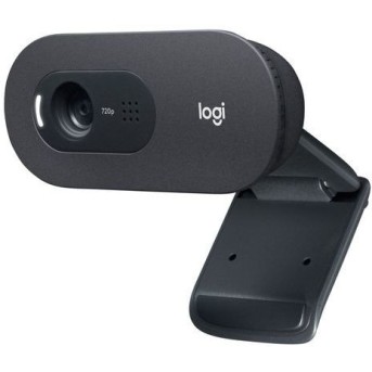 Веб-камера Logitech C505e - Metoo (1)