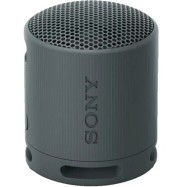 Портативная колонка Sony SRS-XB100/BCE