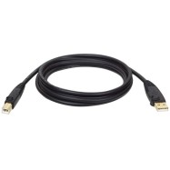 Кабель TrippLite/USB 2.0 A/B Cable (M/M), 10 ft./3,1 м (U022-010)