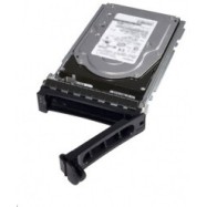 HDD Dell/480GB SSD SATA Read Intensive 6Gbps 512e 2.5in Hot-plug,3.5in HYB CARR S4510 Drive, 1 DWPD,876 TBW, CK