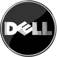 Дисковый массив Dell 770-BBCN