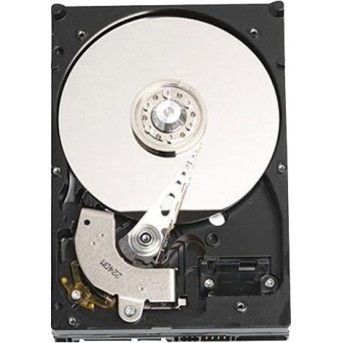 Жесткий диск HDD 1Tb Dell RPM NLSAS (400-ALQZ) - Metoo (1)