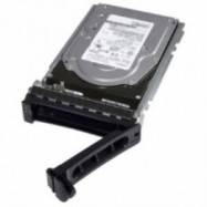 HDD Dell/16TB Hard Drive 7.2K SAS 12Gbps 512e 3.5in Hot-Plug