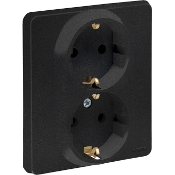 Розетка 2 x 2К+З 16 А 250 В Legrand Inspiria 673753 антрацит - Metoo (1)