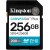 Карта памяти Kingston SDG4/<wbr>256GB Canvas Go Plus Gen4 C10 UHS-I U3 V30 256GB - Metoo (1)