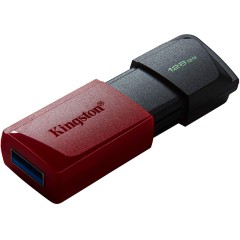USB-накопитель Kingston DTXM/<wbr>128GB 128GB Красный