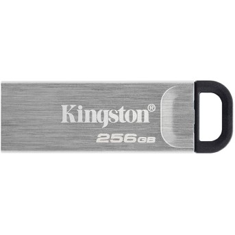USB-накопитель Kingston DTKN/<wbr>256GB 256GB Серебристый - Metoo (2)