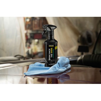 Средство для чистки салона KARCHER H&G RM 651 - Metoo (3)