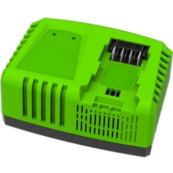 Быстрое зарядное устройство Greenworks 40V 5А - Metoo (3)