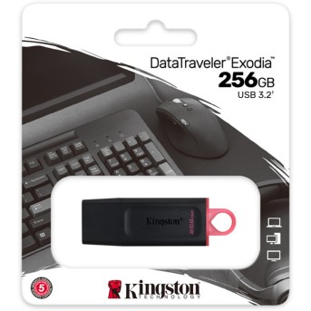USB-накопитель Kingston DTX/<wbr>256GB 256GB Чёрный - Metoo (3)