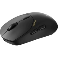 Компьютерная мышь Rapoo VT1PRO MAX