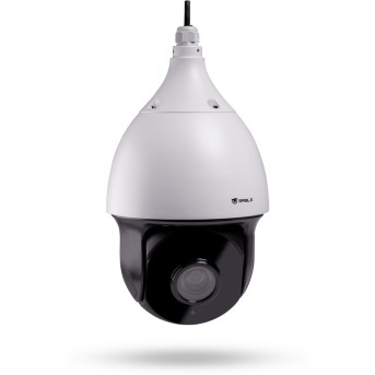 IP камера Speed Dome EAGLE EGL-NSP550 сетевая поворотная - Metoo (1)