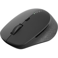 Компьютерная мышь Rapoo M300 Black