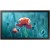Профессиональный дисплей Samsung QB13R 13" - Metoo (1)