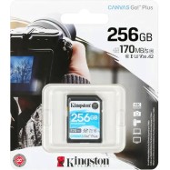 Карта памяти Kingston SDG3/256GB SD 256GB