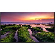 Профессиональный дисплей Samsung QB65C 65"