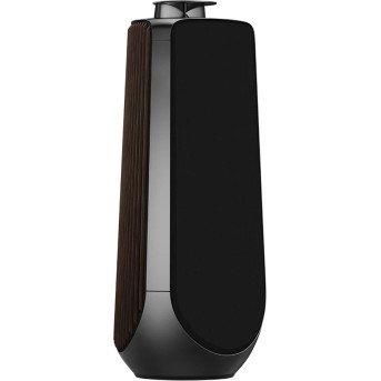 Beolab 50 Speaker (Secondary) Black Anthracite в Metoo.kz - Metoo (2)