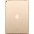 Планшет iPad Pro 256Gb Золотой - Metoo (2)