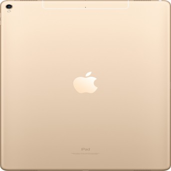 12.9-inch iPad Pro Wi-Fi + Cellular 64GB - Gold, Model A1671 - Metoo (4)